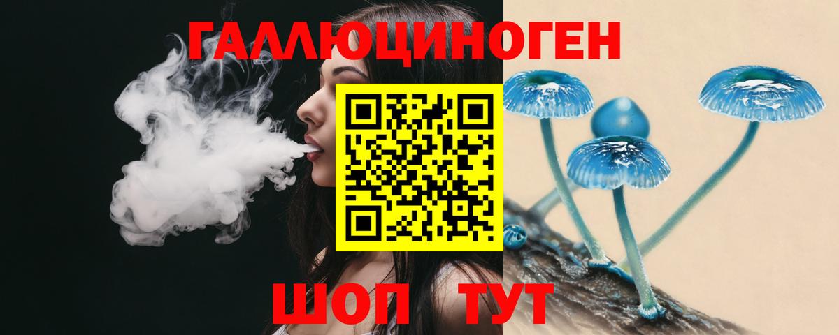 Псилоцибиновые грибы Cubensis Сатка